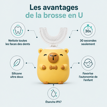Brosses de rechange
